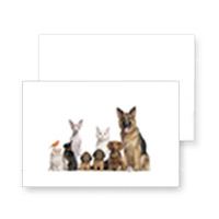 Cartão Postal Pets