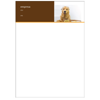 Papel Carta Pets 13