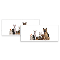 Envelope Ofício C6/C5 Pets