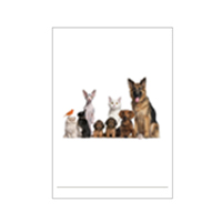 Bloco Pequeno Pets