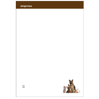 Papel Carta Pets 29