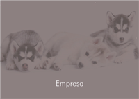 Cartão Postal Pet 4