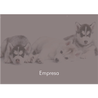 Cartão Postal Pet 4