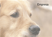 Cartão Postal Pet 2
