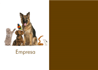 Cartão Postal Pet 29